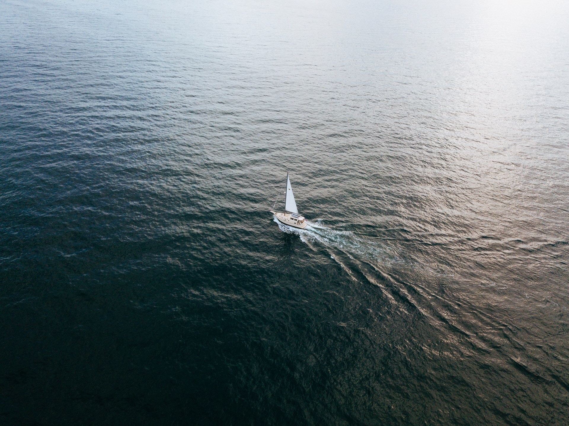 catamaran tour by mr wright adventure