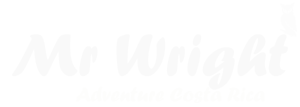 Mr Wright Adventure