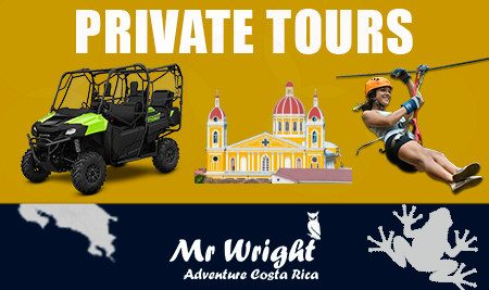 Snorkeling tours with Mr Wright Adventure