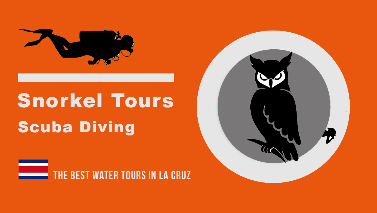 Snorkeling tours with Mr Wright Adventure